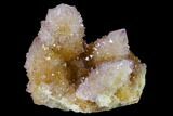 Cactus Quartz (Amethyst) Crystal Cluster - South Africa #137802-1